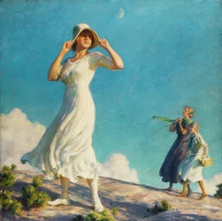 Hoogland
