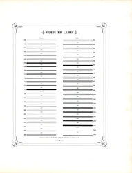 Voortzetting van typografische sierregels (print)