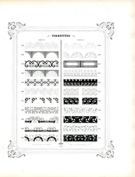 Fijne decoratieve randen en sierstroken (print)