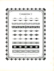 Florale decoratieve banden en sierranden (print)