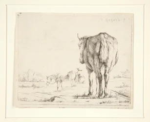 Twee Grazende Paarden