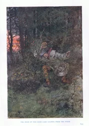 De dader van de daad kwam uit het bos springen