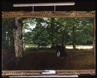 Wandeling in het Bos