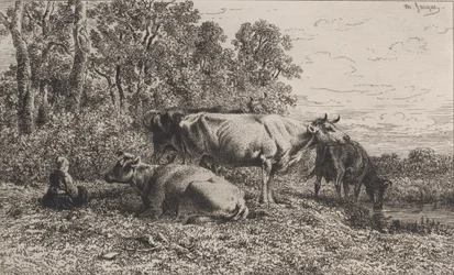 Nederlandse koeien, 1864
