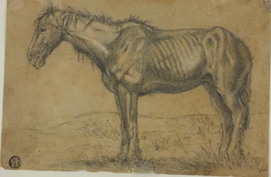 Uitgemergeld paard (recto); vooraanzicht van een paard (verso)