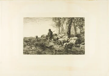 Kudde varkens met varkenshoeder