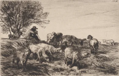 Kudde Schapen, 1864