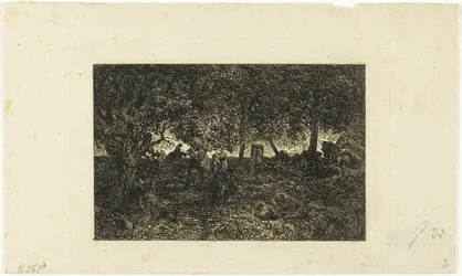 In het bos