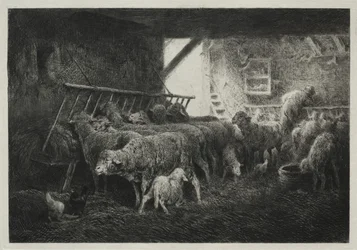 Interieur van een Schapenstal