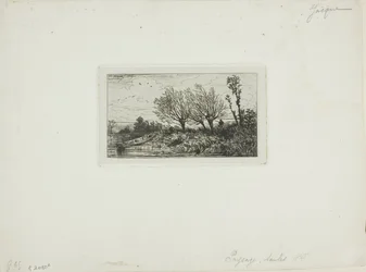 Landschap, wilgenbomen