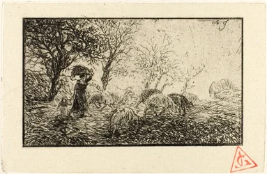 Landschap en Dieren