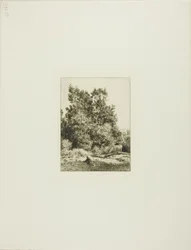 Landschap met Koeherder