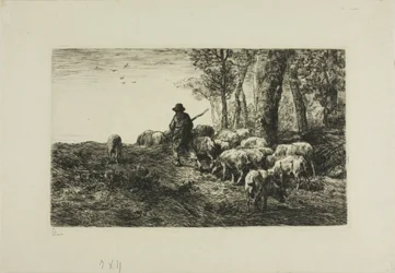Man met kudde varkens