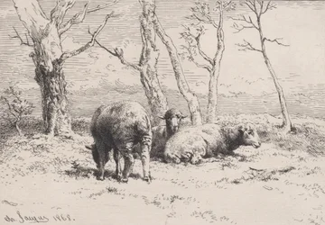 Schapen, 1868