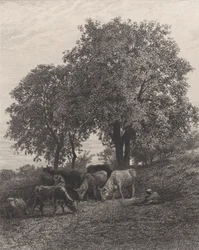 Rust, 1864