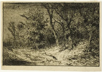 Weg aan de Rand van een Bos