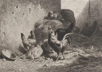 Haan en Hennen, 1864