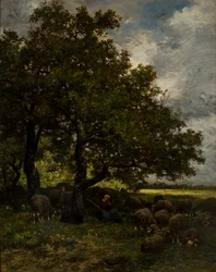 Landelijk landschap