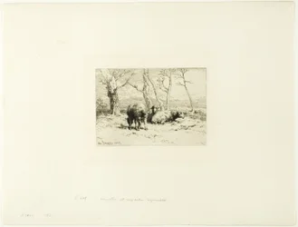 Schapen en Vijf Bomen