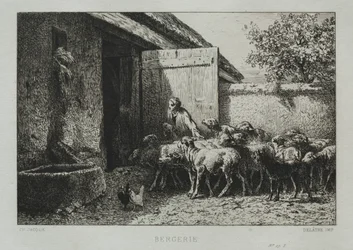 Schapenkooi