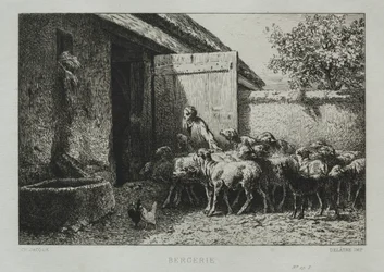 Schapenkooi