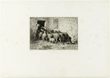 De Schapen Komen Thuis