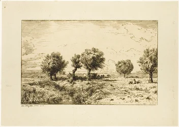 Wilgen in een Landschap