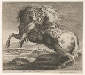 Poulonnois paarden