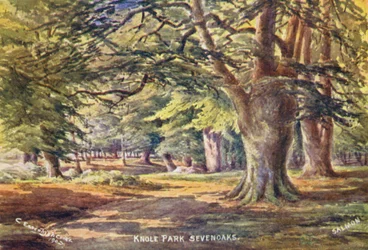 Knole House: Beukenbomen in het Park