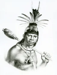 Hoofd Camacan Mongoyo uit 