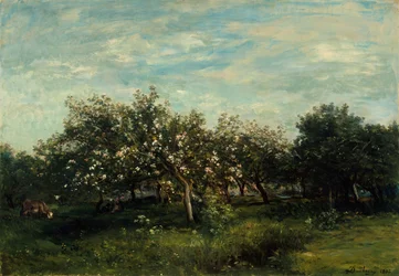 Appelbloesems