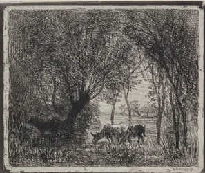 Koeien in het bos, originele indruk 1862, gedrukt in 1921