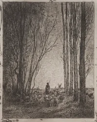 Verzamelen van de Kudde