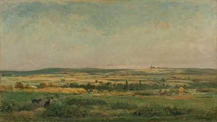 Graanoogst