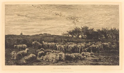 Grote schaapskooi