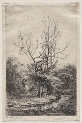 De Boomgaard