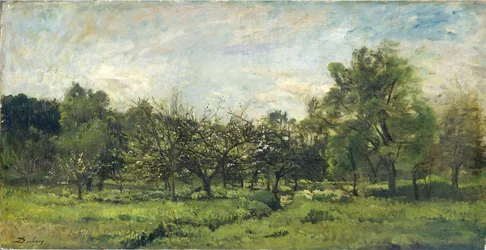 Boomgaard