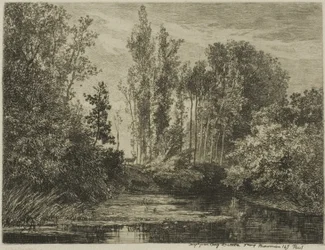 Herten aan de waterkant