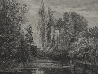 Herten aan de waterkant