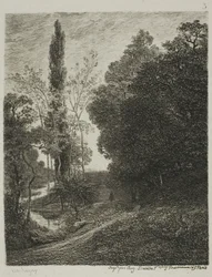 De oevers van de Cousin