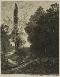 De Oevers van de Cousin