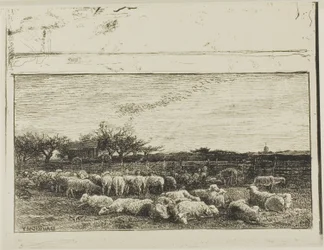 De grote schaapskooi