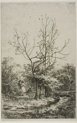 De boomgaard