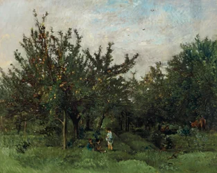 Een appelboomgaard