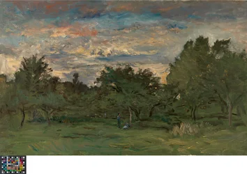 Boomgaard bij nacht