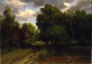 Het kruispunt van het adelaarsnest, bos van Fontainebleau