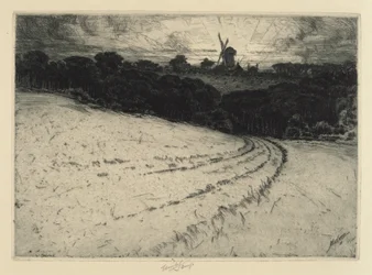 Ochtend, Canonicut Eiland