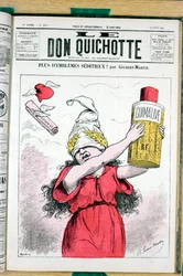 Omslag van Le Don Quixote, nummer 215, Satirique en Colours