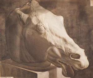 Studie - Paardenhoofd van het Parthenon