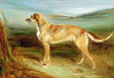 Een hertenhond in een landschap (olieverf op doek)